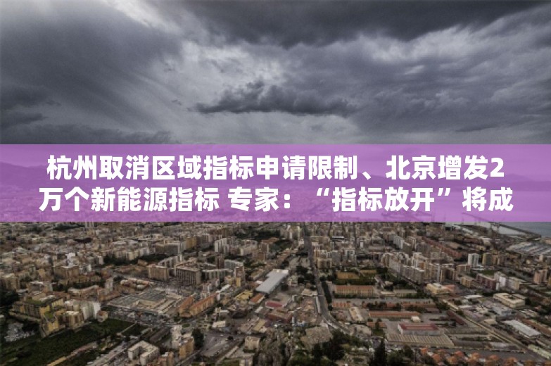 杭州取消区域指标申请限制、北京增发2万个新能源指标 专家：“指标放开”将成下半年趋势