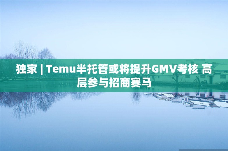 独家 | Temu半托管或将提升GMV考核 高层参与招商赛马