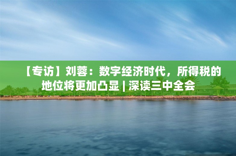 【专访】刘蓉：数字经济时代，所得税的地位将更加凸显 | 深读三中全会