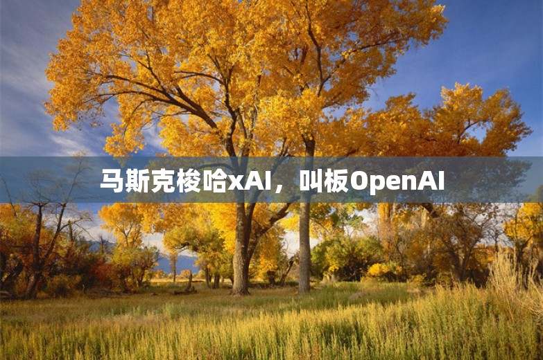 马斯克梭哈xAI，叫板OpenAI