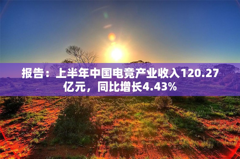 报告：上半年中国电竞产业收入120.27亿元，同比增长4.43%