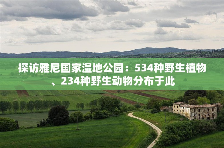 探访雅尼国家湿地公园：534种野生植物、234种野生动物分布于此