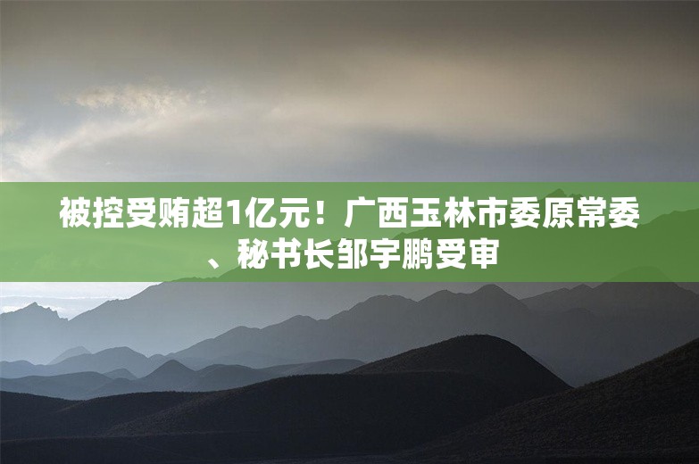 被控受贿超1亿元！广西玉林市委原常委、秘书长邹宇鹏受审