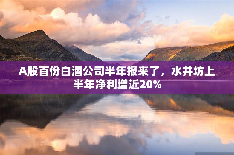 A股首份白酒公司半年报来了，水井坊上半年净利增近20%