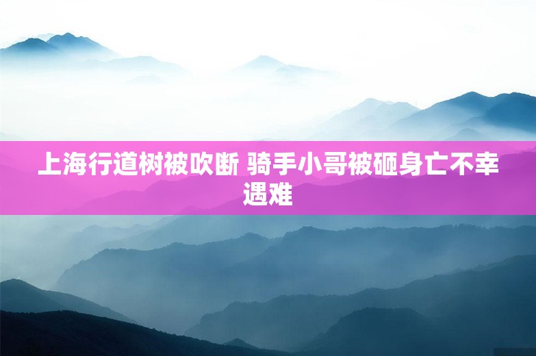 上海行道树被吹断 骑手小哥被砸身亡不幸遇难