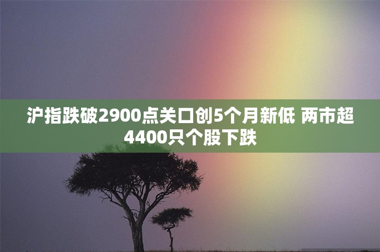 沪指跌破2900点关口创5个月新低 两市超4400只个股下跌