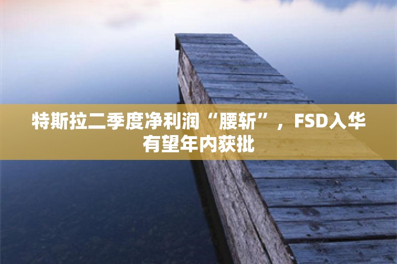 特斯拉二季度净利润“腰斩”，FSD入华有望年内获批