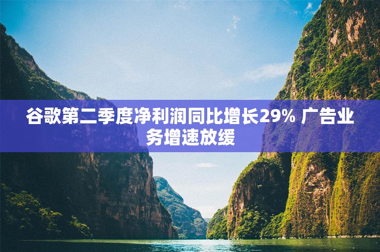 谷歌第二季度净利润同比增长29% 广告业务增速放缓