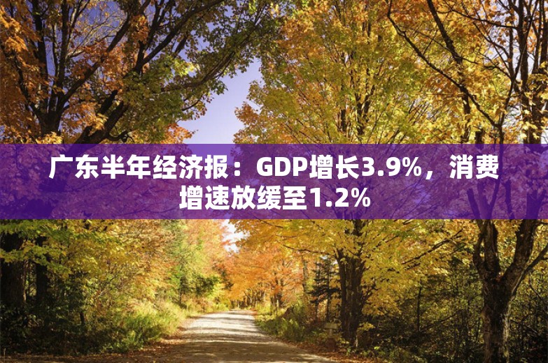 广东半年经济报：GDP增长3.9%，消费增速放缓至1.2%