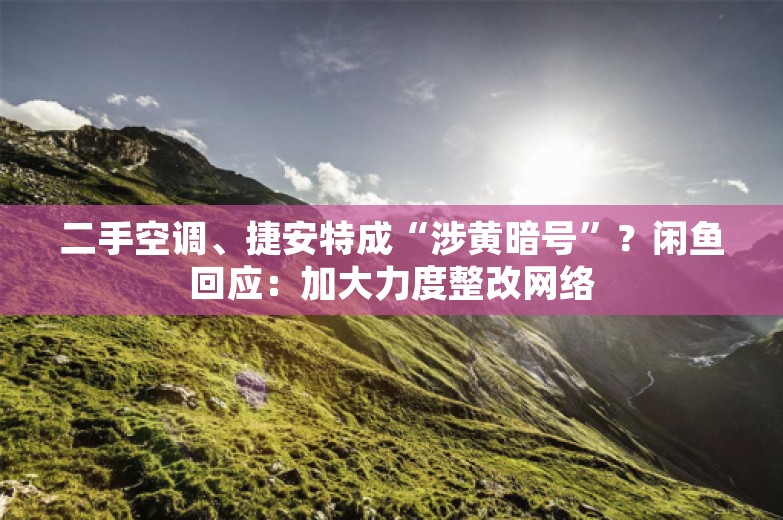 二手空调、捷安特成“涉黄暗号”？闲鱼回应：加大力度整改网络