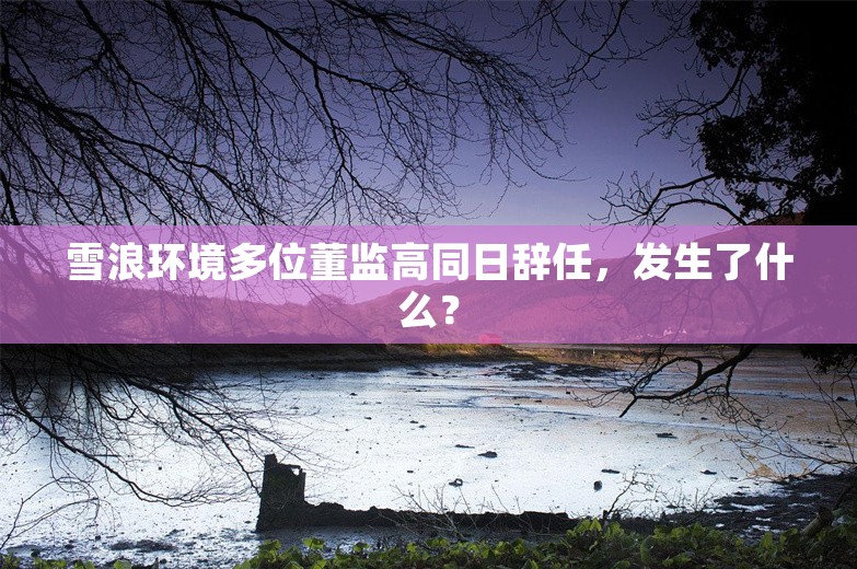 雪浪环境多位董监高同日辞任，发生了什么？