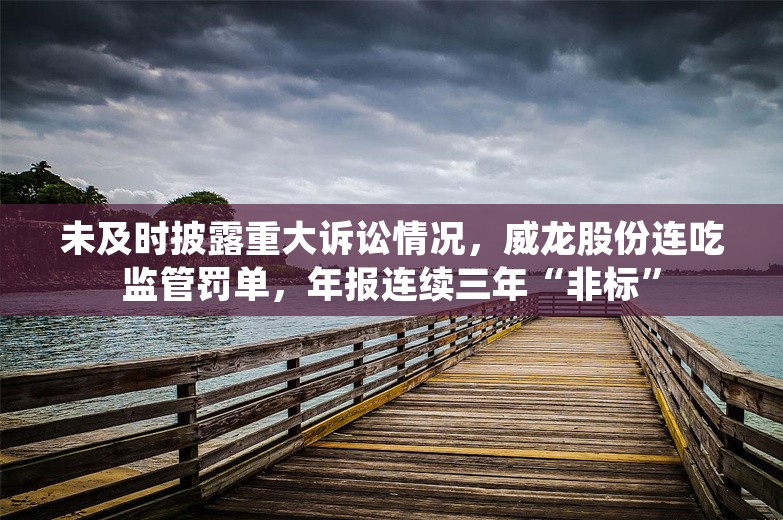 未及时披露重大诉讼情况，威龙股份连吃监管罚单，年报连续三年“非标”