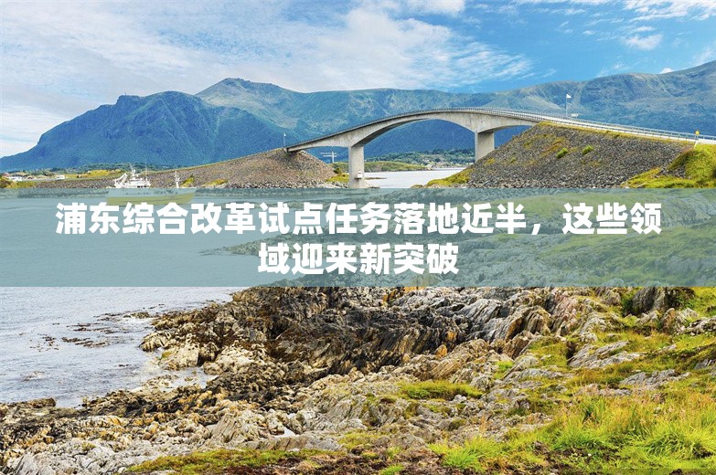 浦东综合改革试点任务落地近半，这些领域迎来新突破