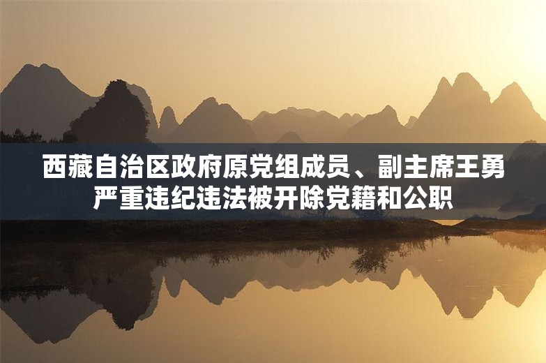 西藏自治区政府原党组成员、副主席王勇严重违纪违法被开除党籍和公职