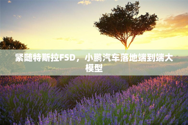 紧随特斯拉FSD，小鹏汽车落地端到端大模型