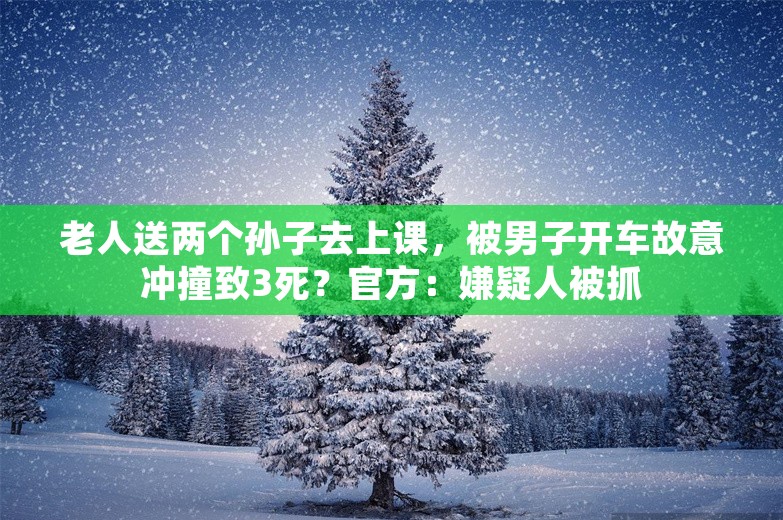 老人送两个孙子去上课，被男子开车故意冲撞致3死？官方：嫌疑人被抓