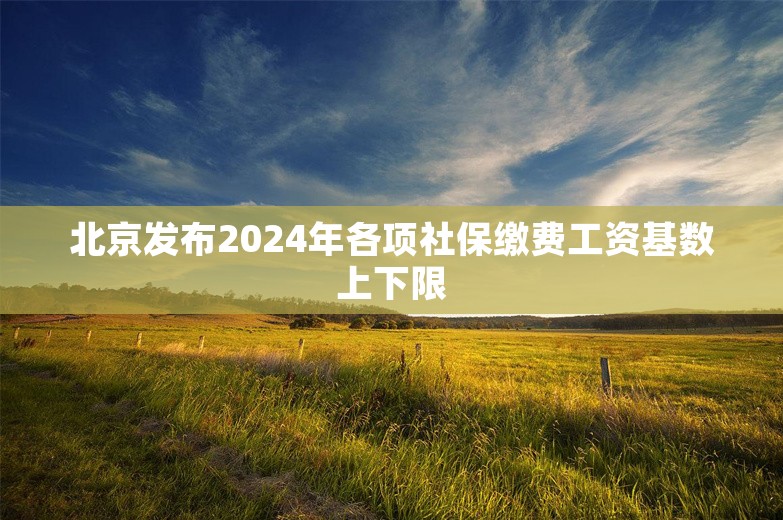 北京发布2024年各项社保缴费工资基数上下限