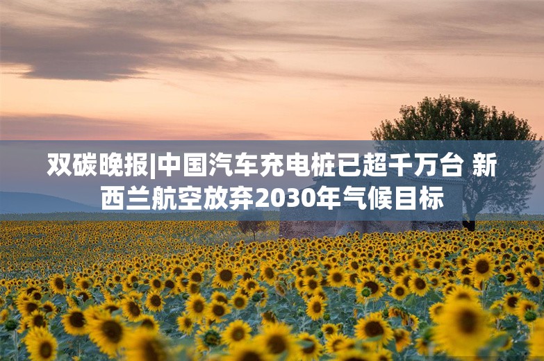 双碳晚报|中国汽车充电桩已超千万台 新西兰航空放弃2030年气候目标