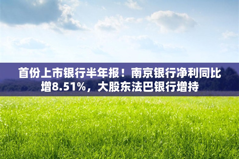 首份上市银行半年报！南京银行净利同比增8.51%，大股东法巴银行增持