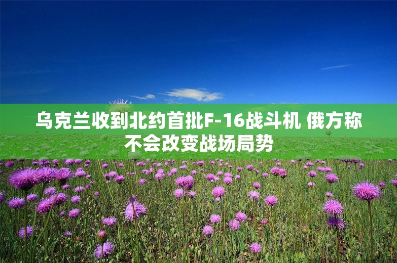 乌克兰收到北约首批F-16战斗机 俄方称不会改变战场局势