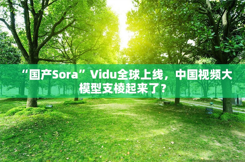 “国产Sora”Vidu全球上线，中国视频大模型支棱起来了？