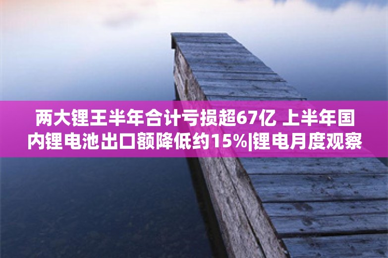 两大锂王半年合计亏损超67亿 上半年国内锂电池出口额降低约15%|锂电月度观察⑦