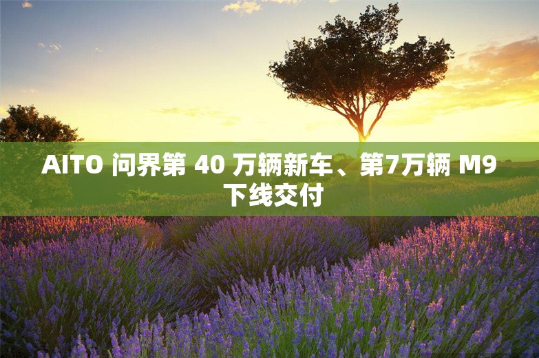 AITO 问界第 40 万辆新车、第7万辆 M9 下线交付