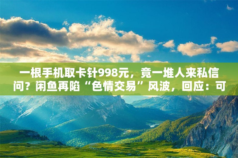 一根手机取卡针998元，竟一堆人来私信问？闲鱼再陷“色情交易”风波，回应：可举报