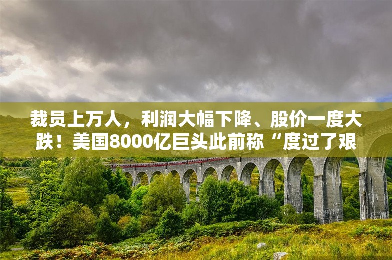 裁员上万人，利润大幅下降、股价一度大跌！美国8000亿巨头此前称“度过了艰难而令人失望的一年”