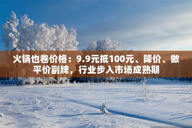 火锅也卷价格：9.9元抵100元、降价、做平价副牌，行业步入市场成熟期