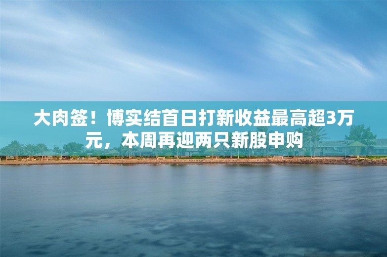 大肉签！博实结首日打新收益最高超3万元，本周再迎两只新股申购