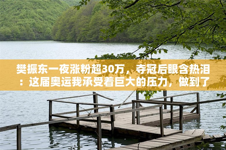 樊振东一夜涨粉超30万，夺冠后眼含热泪：这届奥运我承受着巨大的压力，做到了极致