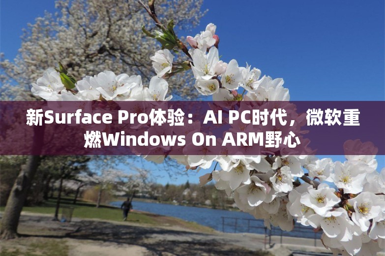 新Surface Pro体验：AI PC时代，微软重燃Windows On ARM野心