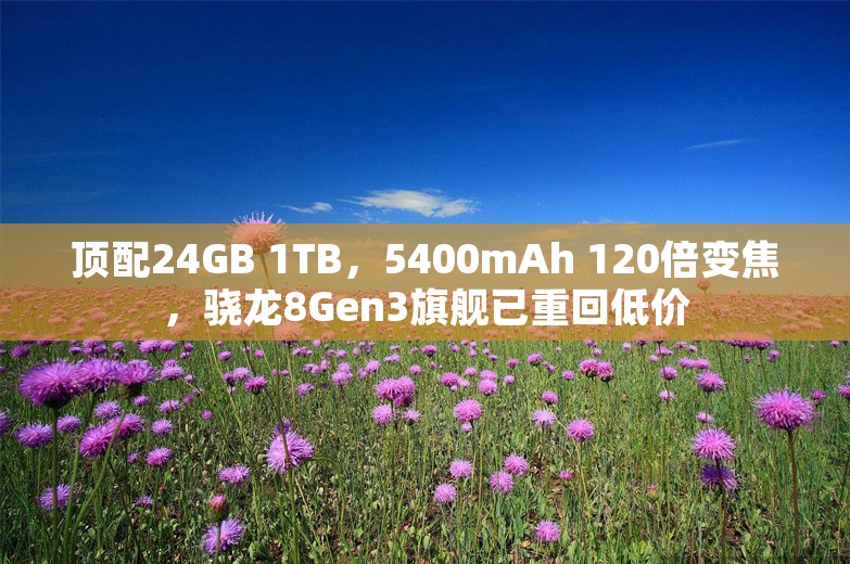 顶配24GB 1TB，5400mAh 120倍变焦，骁龙8Gen3旗舰已重回低价