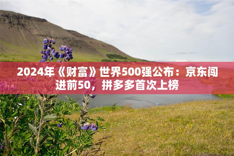 2024年《财富》世界500强公布：京东闯进前50，拼多多首次上榜