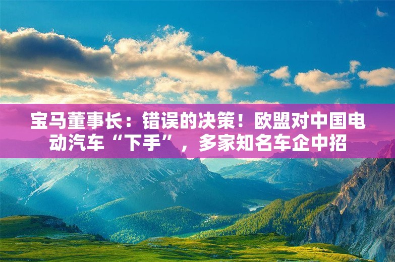 宝马董事长：错误的决策！欧盟对中国电动汽车“下手”，多家知名车企中招