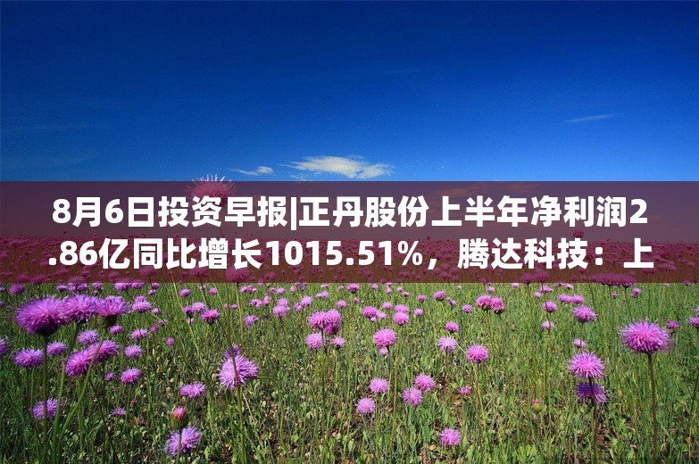 8月6日投资早报|正丹股份上半年净利润2.86亿同比增长1015.51%，腾达科技：上半年净利润3995.68万元同比下降11.94%，今日一只新股上市