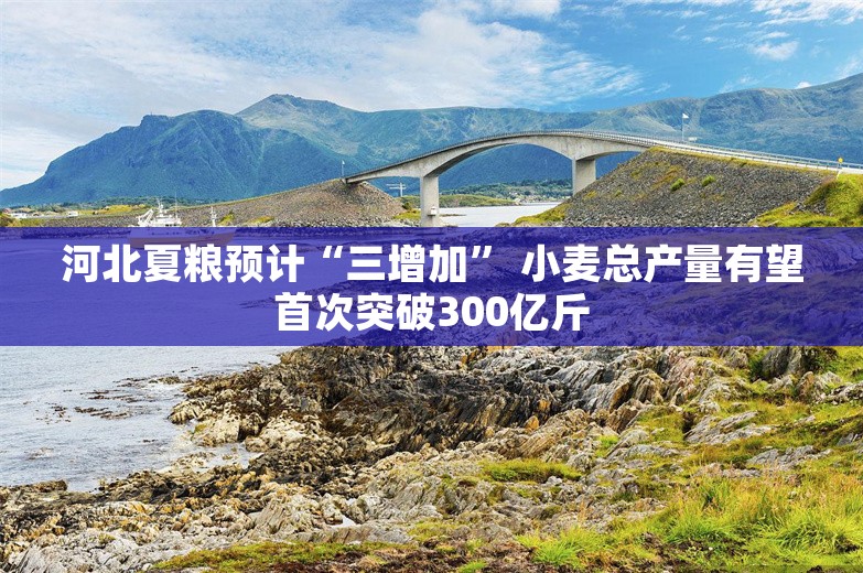 河北夏粮预计“三增加” 小麦总产量有望首次突破300亿斤