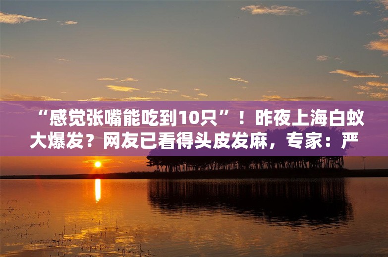 “感觉张嘴能吃到10只”！昨夜上海白蚁大爆发？网友已看得头皮发麻，专家：严重性不如往年