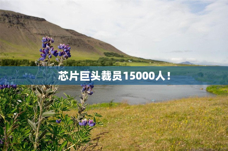 芯片巨头裁员15000人！