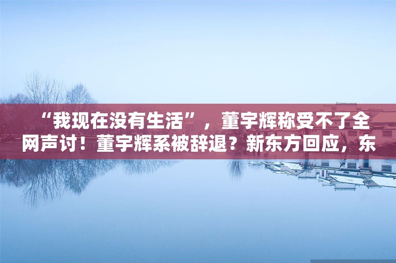 “我现在没有生活”，董宇辉称受不了全网声讨！董宇辉系被辞退？新东方回应，东方甄选股价大涨