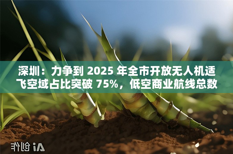 深圳：力争到 2025 年全市开放无人机适飞空域占比突破 75%，低空商业航线总数突破 1000 条