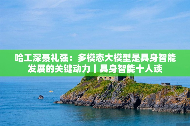 哈工深聂礼强：多模态大模型是具身智能发展的关键动力丨具身智能十人谈