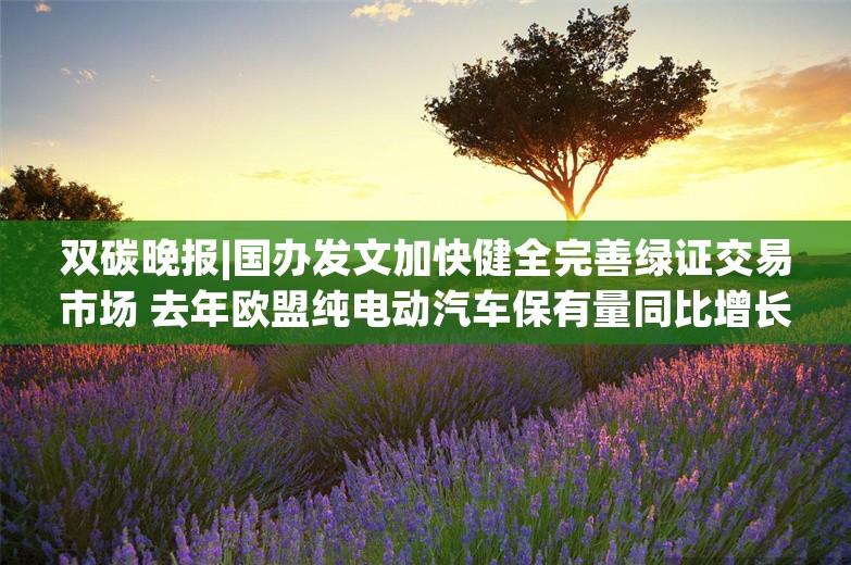 双碳晚报|国办发文加快健全完善绿证交易市场 去年欧盟纯电动汽车保有量同比增长近五成