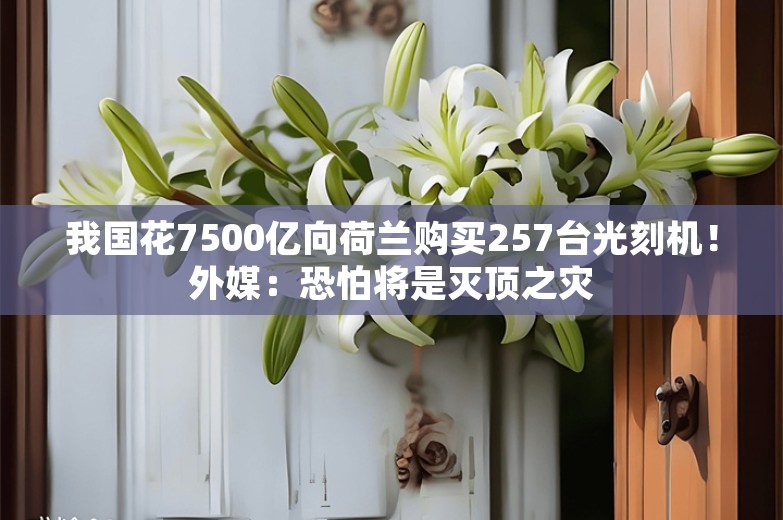 我国花7500亿向荷兰购买257台光刻机！外媒：恐怕将是灭顶之灾