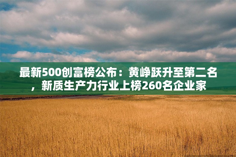 最新500创富榜公布：黄峥跃升至第二名，新质生产力行业上榜260名企业家