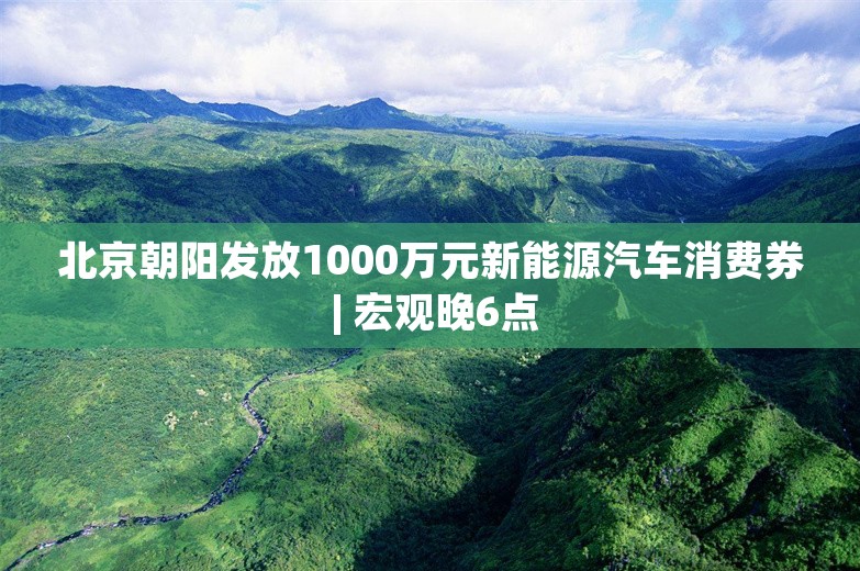 北京朝阳发放1000万元新能源汽车消费券 | 宏观晚6点