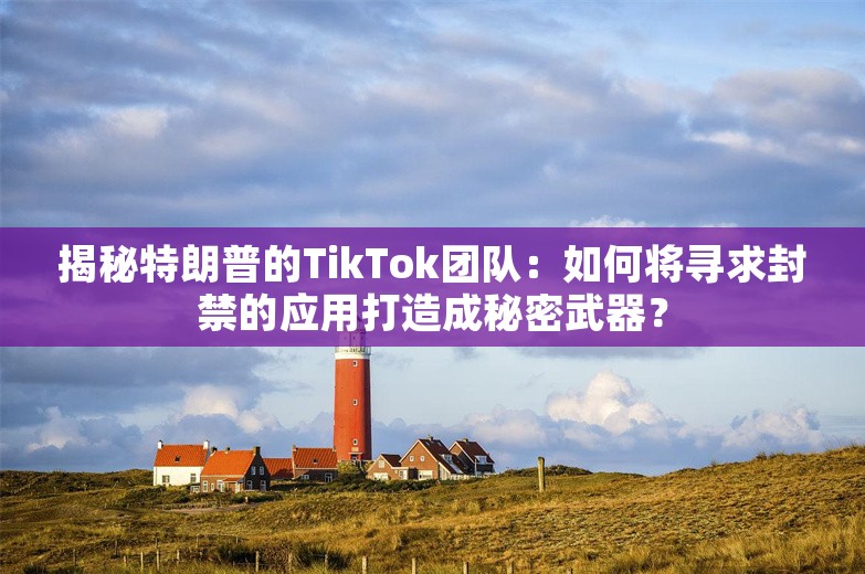 揭秘特朗普的TikTok团队：如何将寻求封禁的应用打造成秘密武器？