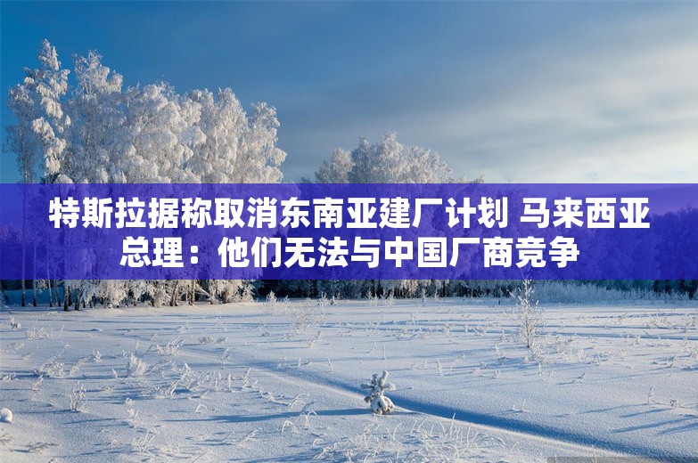 特斯拉据称取消东南亚建厂计划 马来西亚总理：他们无法与中国厂商竞争