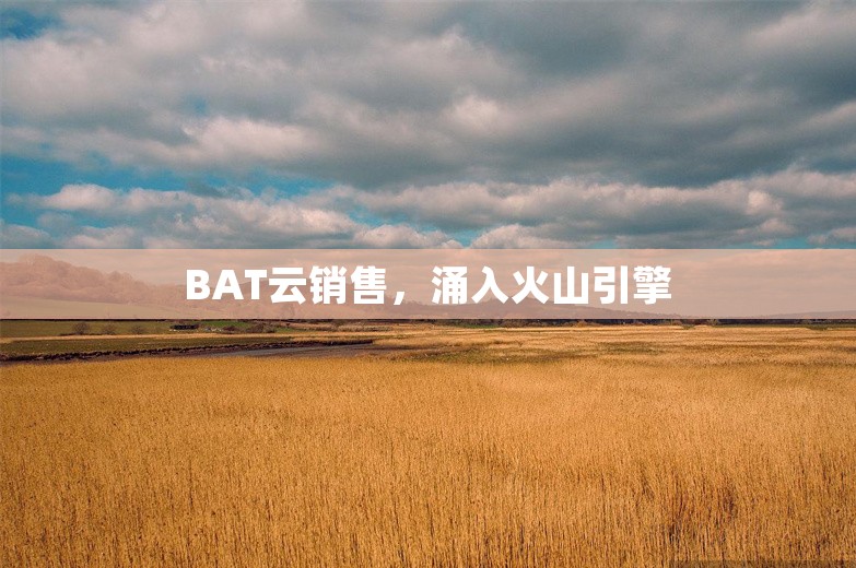 BAT云销售，涌入火山引擎